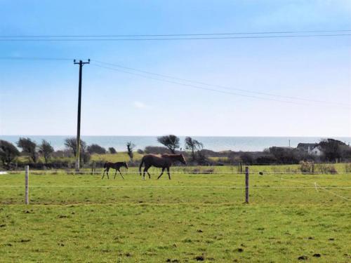 Facilities, Hook Holiday Cottage Kimore by Trident Holiday Homes in Kilmore Quay