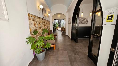 Hostal Mediterráneo - image 12