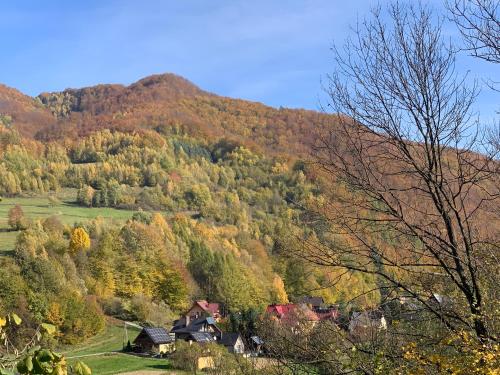 Domki nad Dunajcem