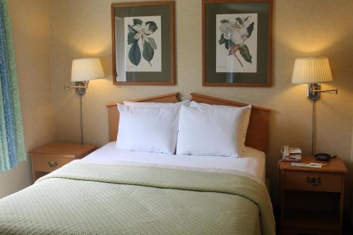 Queen Studio - Smoking