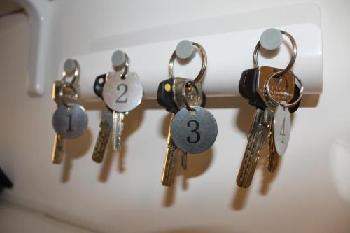 Camera Con Vista - image 3