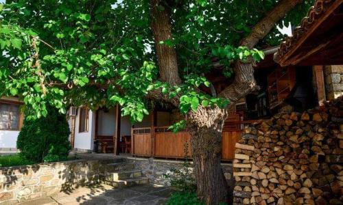 Престиж, Arbanasi (foto 3)