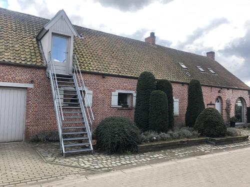 slapen bij alpacas - Location saisonnière - Beerse