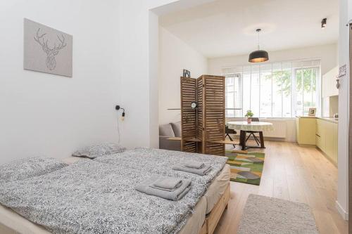 Beautiful studio, Amberes (foto 3)
