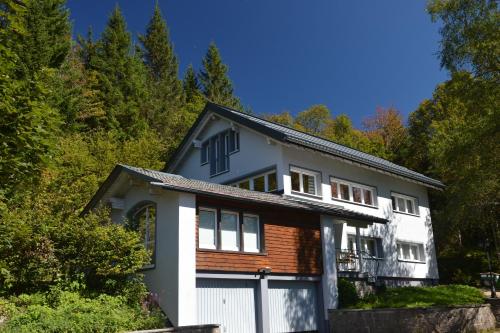 Schwarzwaldhimmel - Feldberg