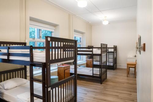 Bed in 6-Bed Mixed Dormitory Room