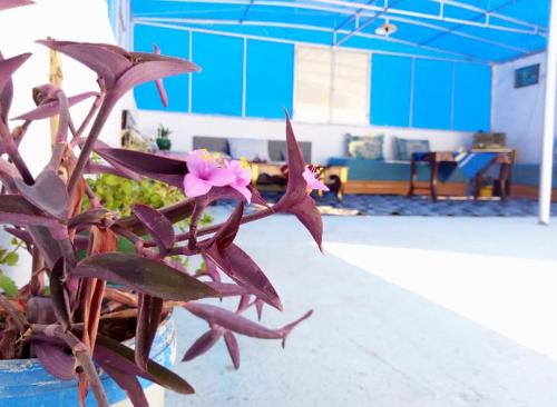 Welcomehome Welcomehome