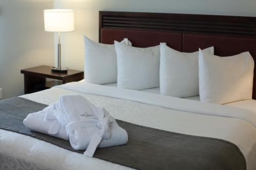 1 king bed, 1 sofa bed