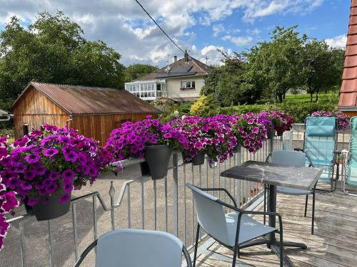 Au parfum des roses in Gunstett