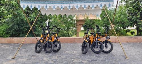 Radisson Blu Udaipur Palace Resort & Spa photo 1