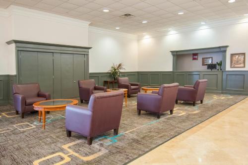 Wyndham Garden Alexandria - image 6