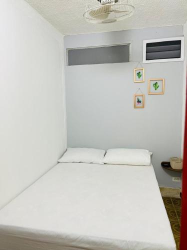 HOSTAL AMA