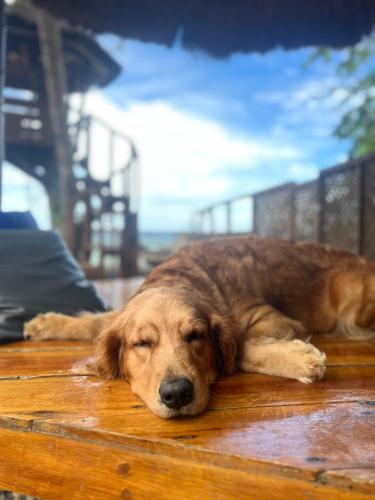 White Bada Guesthouse White Bada Guesthouse