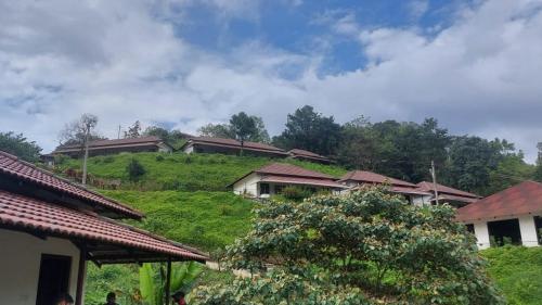 Bisle Ghat Resort