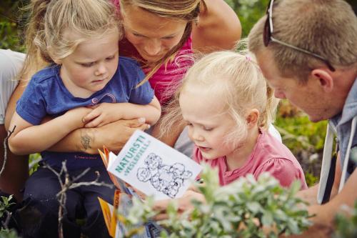 Storefjell Resort Storefjell Resort