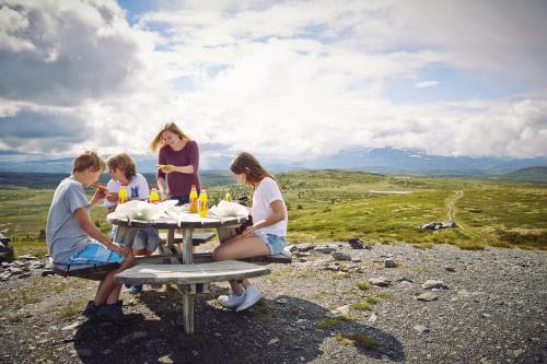 Storefjell Resort Storefjell Resort