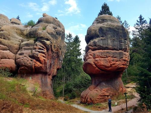 Auf-der-Muehlwiese