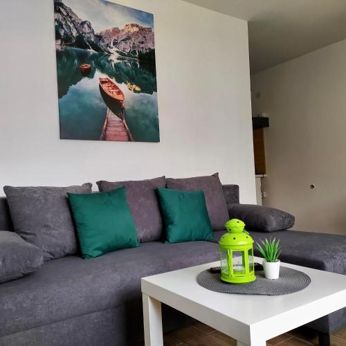 Apartmani Vlasina Sokobanja