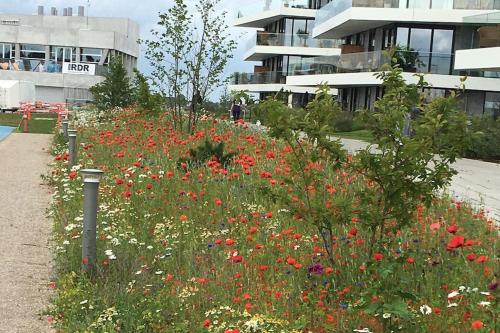 Bo med stil og udsigt til Aarhus lystbådehavn