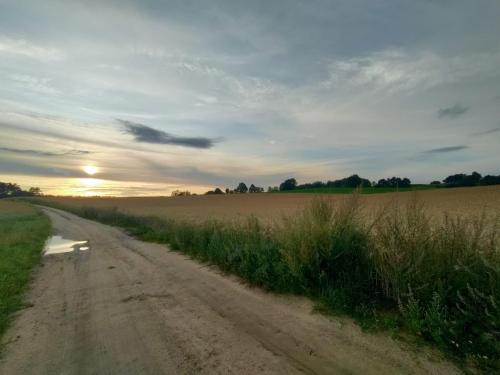 Widny Jaś zaprasza na pięciobój równoczesny