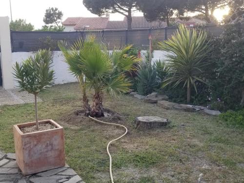 Belle villa classée 4 étoiles proche plage avec jardin