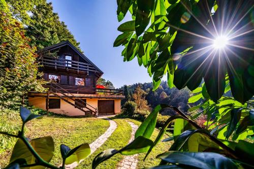 Chalet Forest Villa - Kamnik