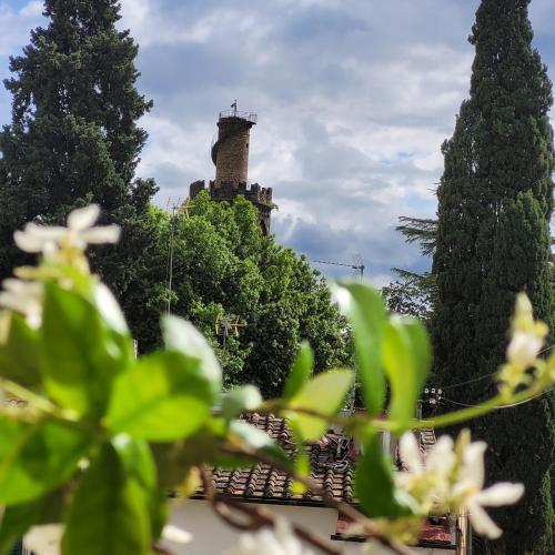 Vista su giardini storici in Oltrarno, Florencie (fotografie 6)