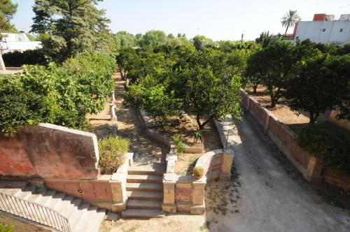 Palazzo Leuzzi B&B 5