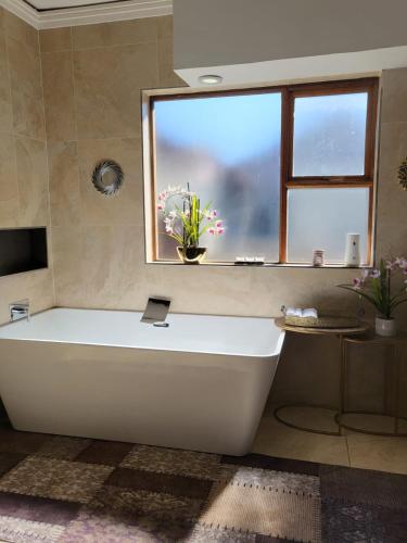17 On Buffalo Room Type - Executive Suite
