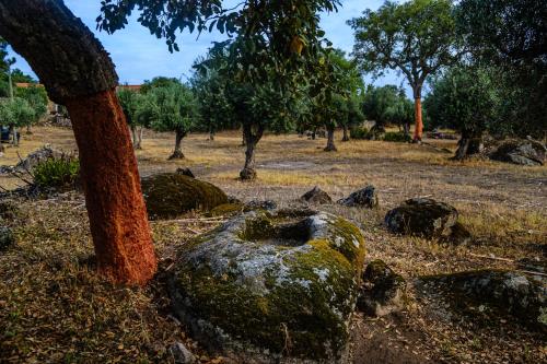 Casa das Pedras Country Retreat