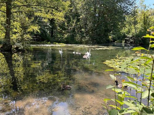 L’impasse - Au bord de l’eau in Epagne-Epagnette