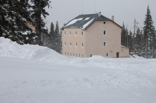 Oaza - Hotel - Dragobrat