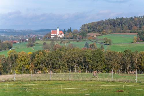 Scheidlerhof