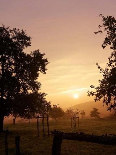 สภาพแวดล้อมโดยรอบ, Ferienwohnung Am Steinchen in เมตทาล์ค