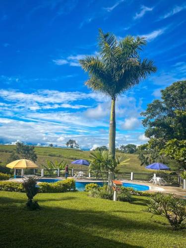 finca hotel palmas frente a panaca Quimbaya