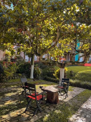 finca hotel palmas frente a panaca in Quimbaya