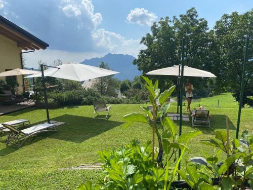 Agriturismo Deviscio - 편의 시설/서비스