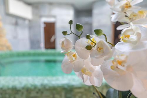 City Hotel Miskolc - image 14