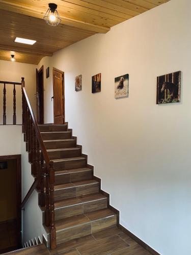 扎科帕内 Agroturystyka SKALNE 4星级 民宿 餐厅