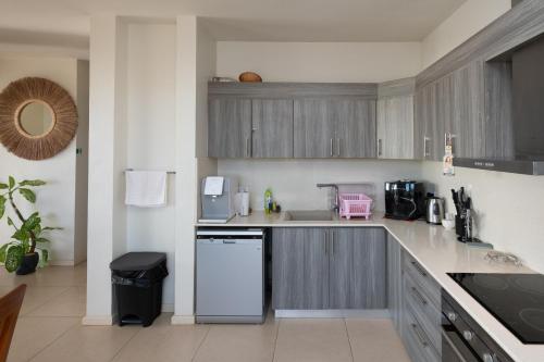 PENTHOUSE VUE MER - MONT CHOISY