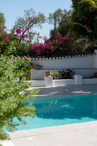 Âmago Guesthouse - image 4