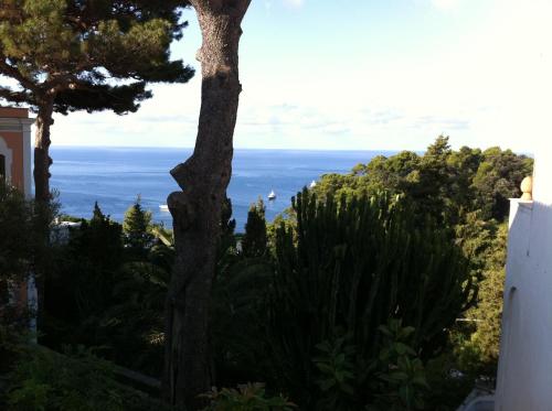 Mare e Montagna