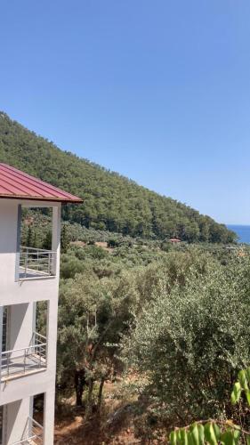 Babs-C apart - Location saisonnière - Muğla