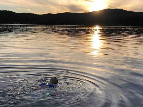 Little Loon Cottage and Beach on Webster Lake Little Loon Cottage and Beach on Webster Lake