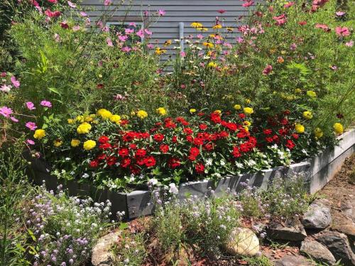 Little Loon Cottage and Beach on Webster Lake Little Loon Cottage and Beach on Webster Lake