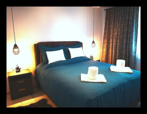 Modern Central Apartament - Crucea