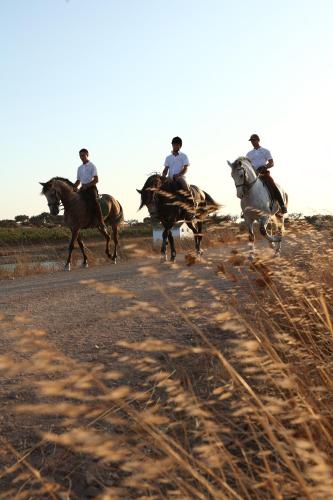 Herdade da Malhadinha Nova - Relais & Châteaux - image 13