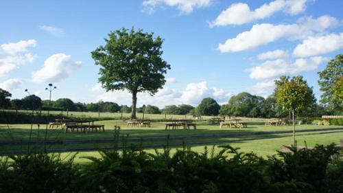 The Bull at Great Totham Limited