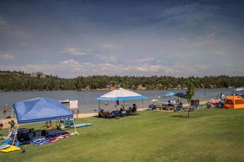 3 Wild Turkeys Family Friendly Home 3 Wild Turkeys Family Friendly Home