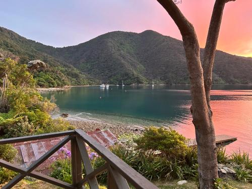 Skats, Resolution Bay in Endeavorinleta